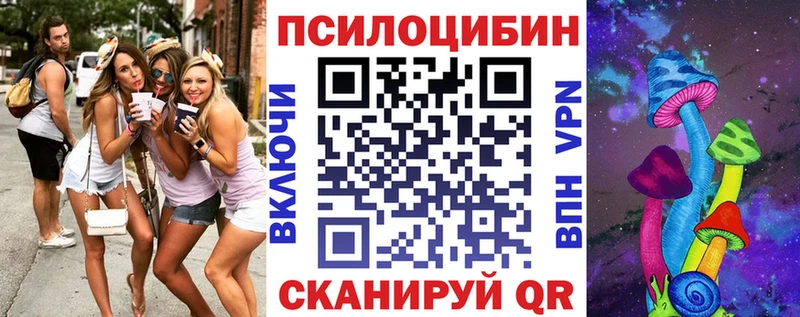 Псилоцибиновые грибы Psilocybine cubensis  Мичуринск 